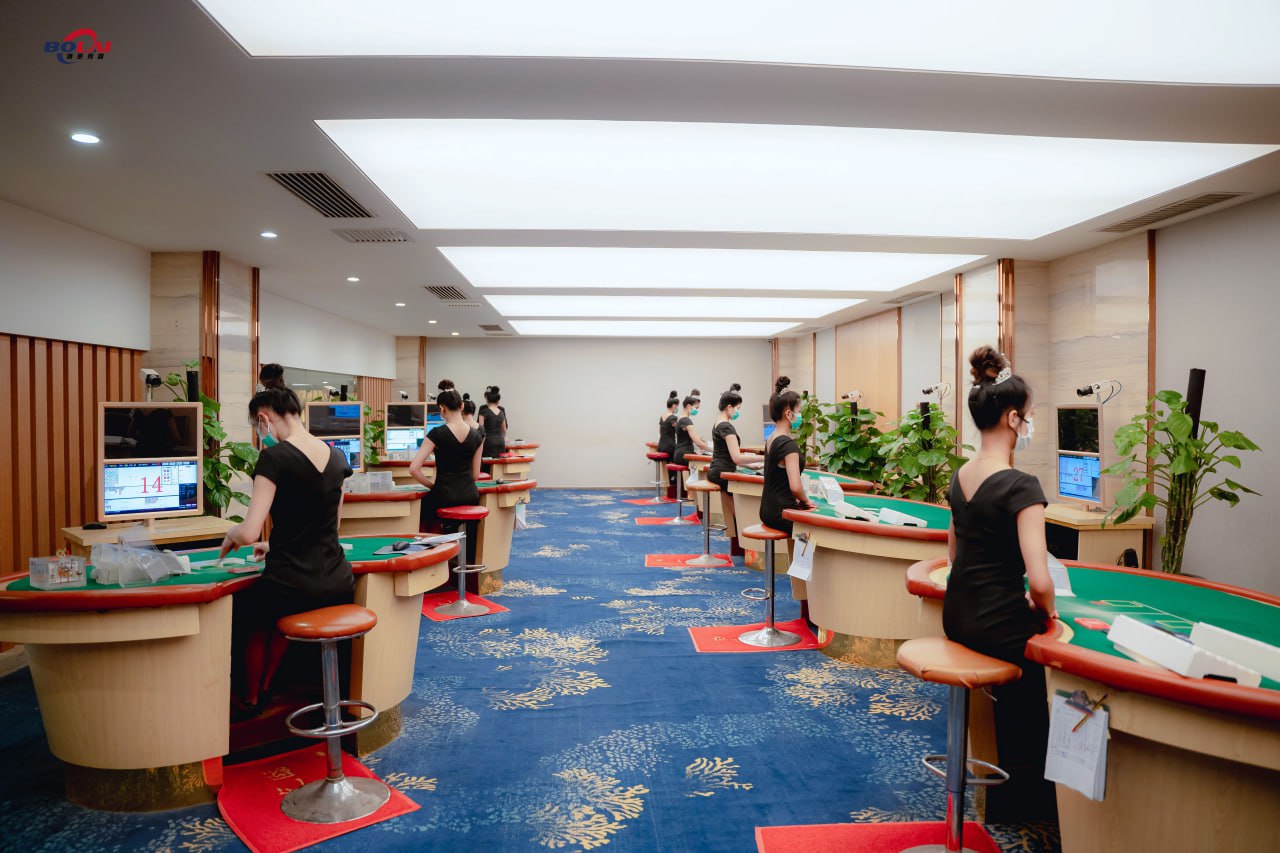 案例展示五