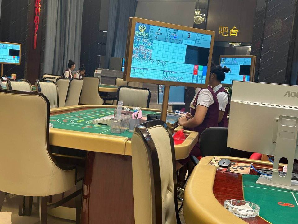 案例展示六